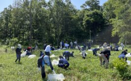 １学年ボランティア活動（西原自然公園にて）