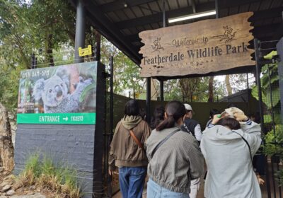 オーストラリアの動物園に行きます