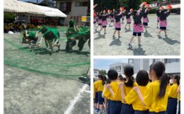 ６月１日（土）体育大会 受験生見学　５月１日より受付開始